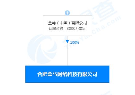 合肥盒馬網(wǎng)絡(luò)科技公司成立，注冊(cè)資本3000萬(wàn)美元聚焦網(wǎng)絡(luò)信息技術(shù)